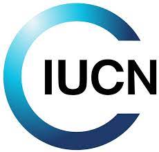 13.IUCN_.jpg